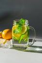 A mug filled with water and ice cubes, sliced Ã¢â¬â¹Ã¢â¬â¹lemon and mint leaves on a dark background Royalty Free Stock Photo